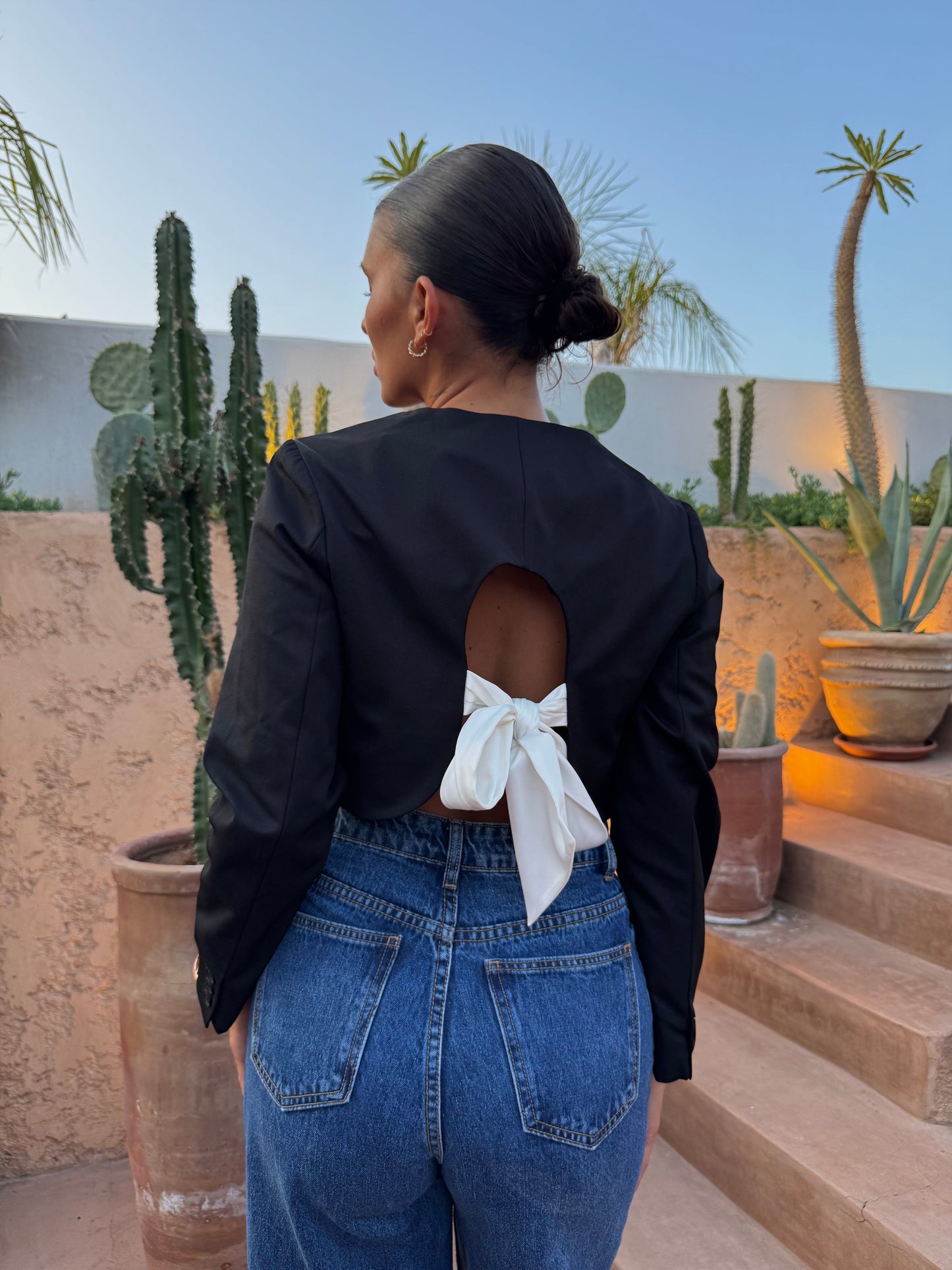 Blazer Katt